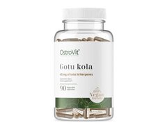 OstroVit Gotu Kola VEGE 90 Capsule (Concentrare invatat, somn linistit, claritate ganduri)